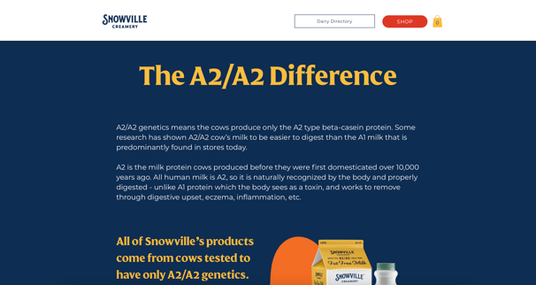 Snoville Creamery Project by Tabitha Asiedu-Gyamfi
