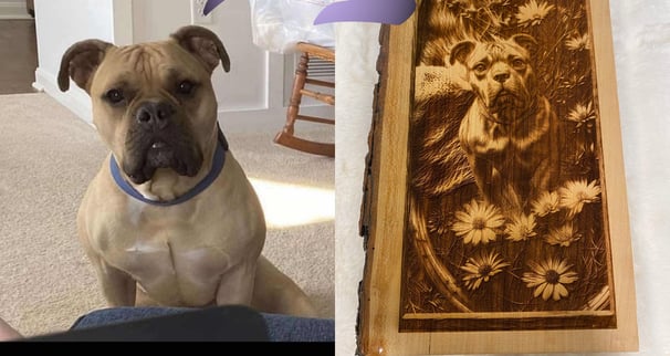 a dog sitting on a rug with a picture of a dog