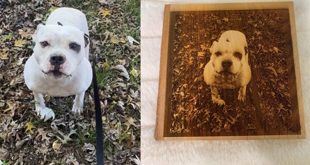 a dog is sitting on the ground next to a picture of a dog