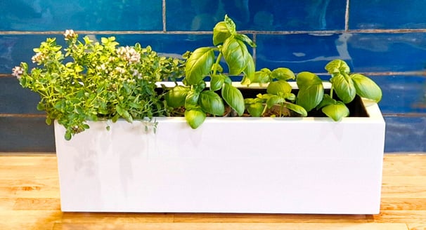 kitchen herb planter box made from quality wood painted in farrow and ball paint in colour white