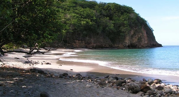 Voyage France Guadeloupe Bosco