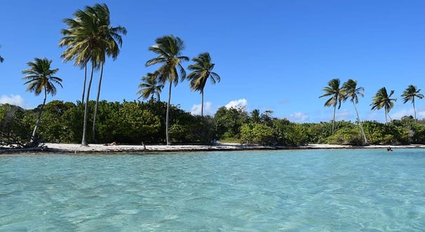 Voyage France Guadeloupe Bois Jolan