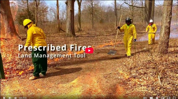 Watch Page: Wintergarden Prescribed Burns