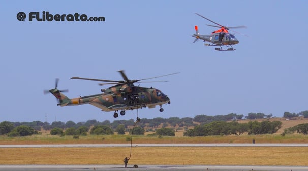 Aeronaves EH-101 Merlin, AW119 Koala