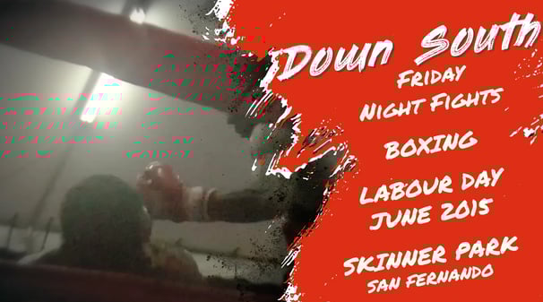 down south boxing title card