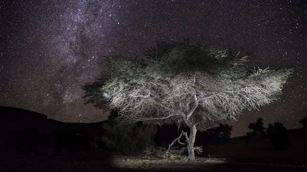 Nightscape, Voie Lactée, Milky Way, Via Lattea, Paysage Etoilé, Starry Landscape, Paesaggio stellato