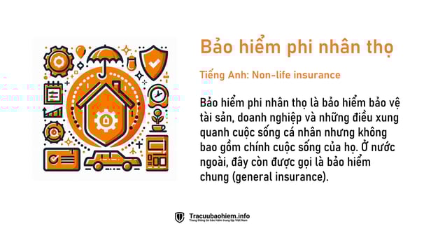 Bảo hiểm phi nhân thọ là gì? Định nghĩa bảo hiểm phi nhân thọ