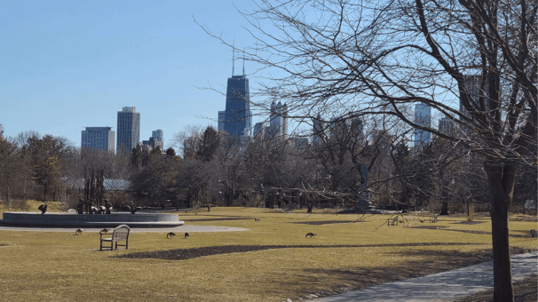 Best Family Attractions in Chicago: Lincoln Park Zoo