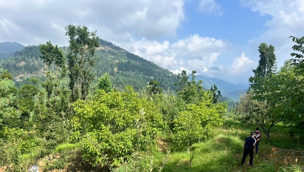CONSTRUCTION OF 3 NO. HUTS AT GALLI / MANJU TOP AND RESTAURANT, Proposed Site