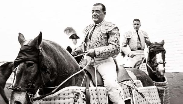 Caballos de Picar. Cuadra de Caballos Centenaria, Enrique Peña. Maestranza de Sevilla