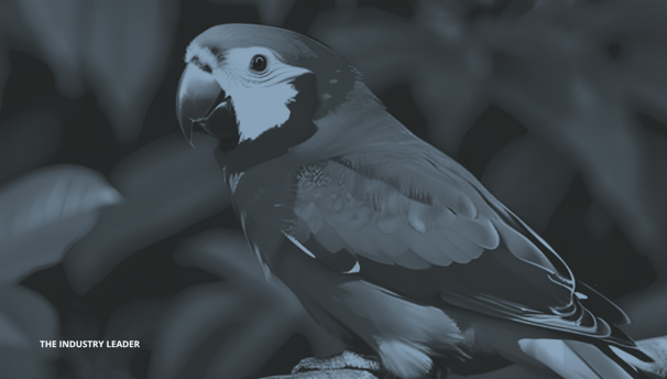 a parrot sitting on a branch of a tree