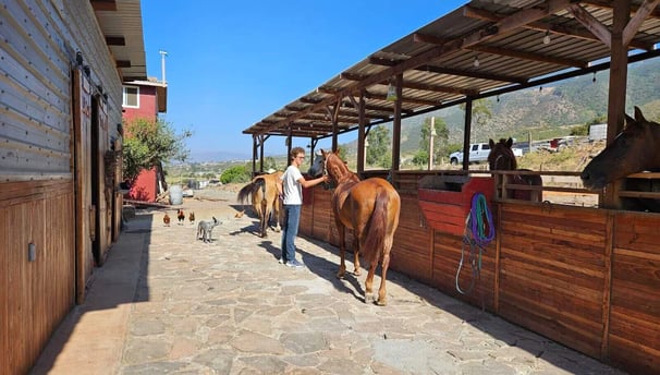 Ramajal Riders corrals and barn
