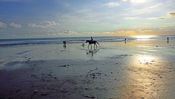 a person riding a horse on a beach, Jimbaran Beach Seafood