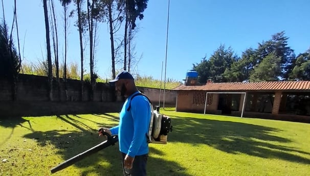 Limpeza de terreno