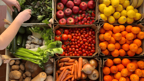 a person standing in front of a box of fruit and vegetables