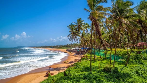 Digital Marketing in Mangalore