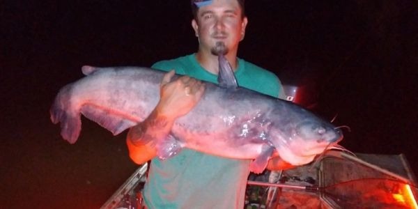 catfish fishing guide