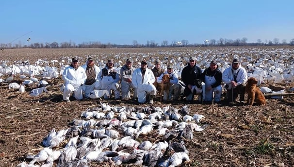 conservation season goose hunts