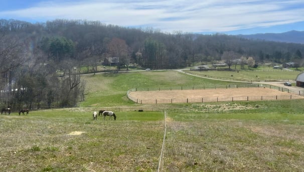 horse boarding facility elizabethton tn