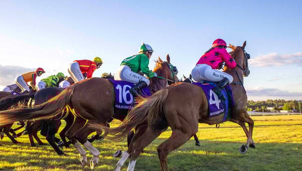 Horses race away from the starting gates