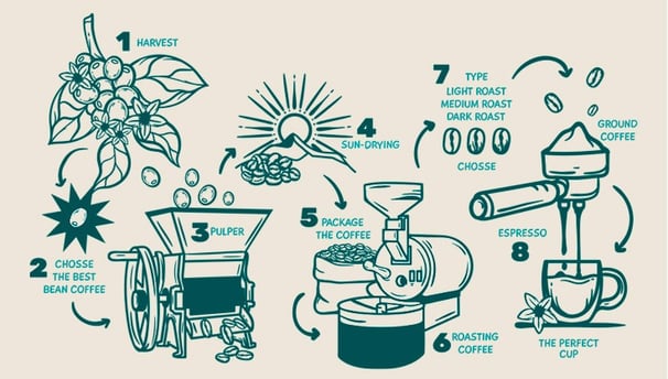 Illustrated process of Colombian coffee from planting to brewing in a cup