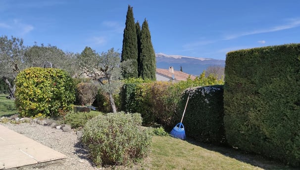 Entretien jardin à Carpentras par jardinier paysagiste