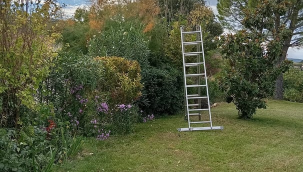 Entretien jardin à Carpentras par jardinier paysagiste
