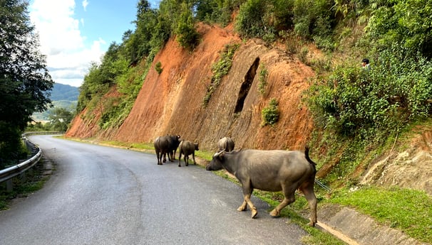 North Vietnam road