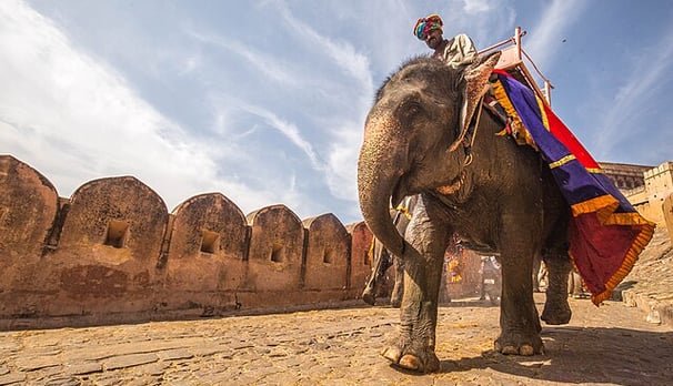 Amber fort - North India tour package