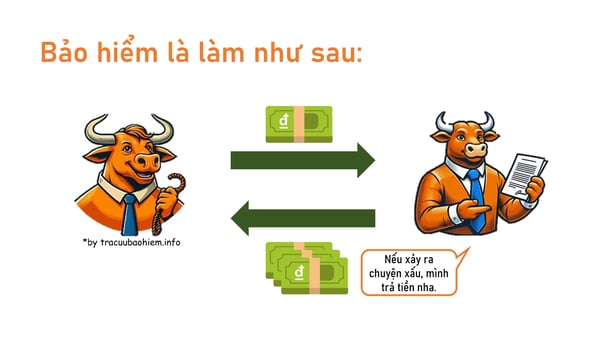 Bảo Hiểm Nhân Thọ Là Gì? Vì Sao Cần Mua Bảo Hiểm Nhân Thọ? Tracuubaohiem