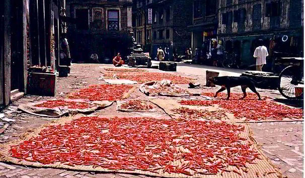 Chilli drying - Nepal tour package