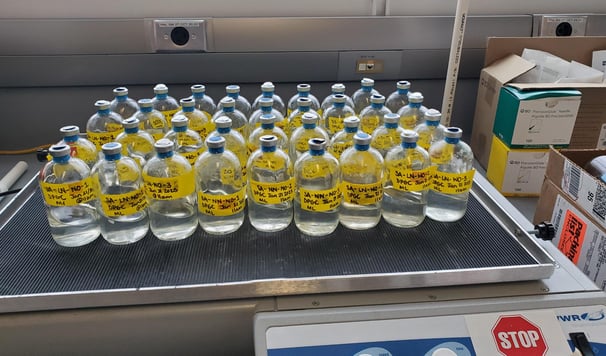 Measuring denitrication rates using acetylene inhibition