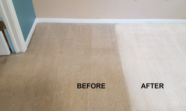rug cleaning fort lauderdale