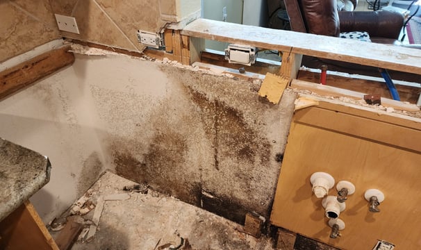 Don't wait for water damage to produce mold