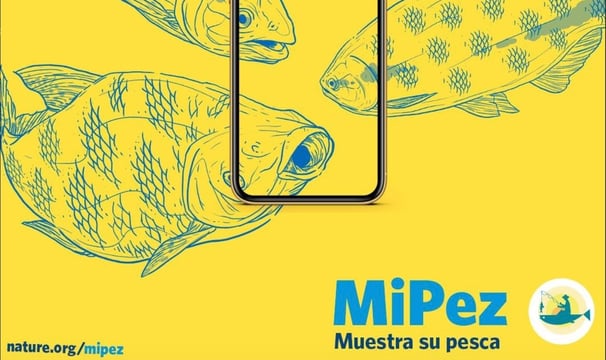 Promo image of MiPez app showing 4 fish centered inside a smartphone.