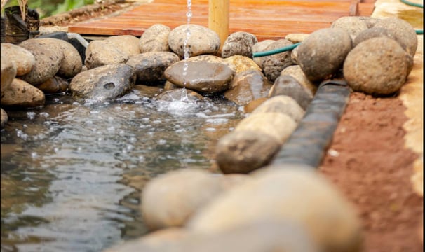 Feeding fish in a pond at Casa Candali, a farmstay surrounded by nature.