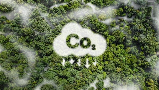Nuage de CO2 capté par une forêt