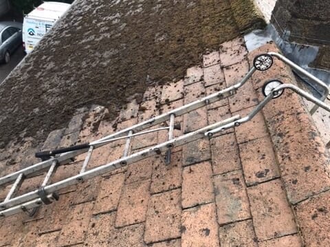 roof clean moss removal