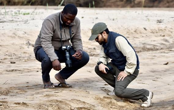 The Lion Team looking for tracks
