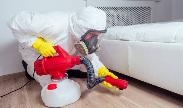 homme en combinaison, traitant les punaises de lit