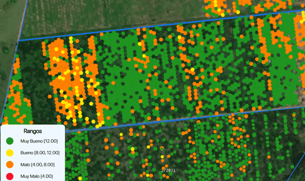 a map of a field with the number of flowers of polinization of a palm oil cultivation