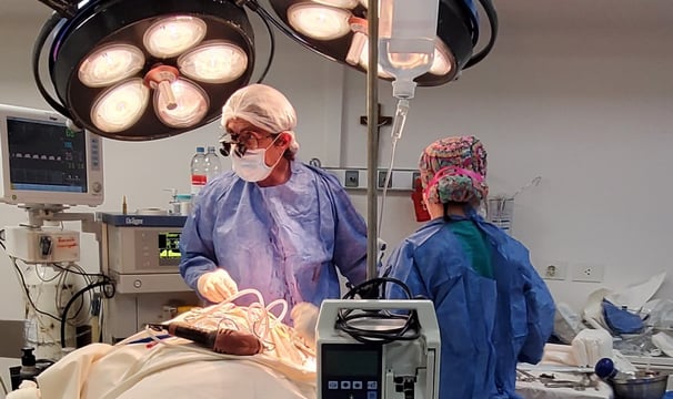 cirugia de cerebro, controlando funciones motoras.