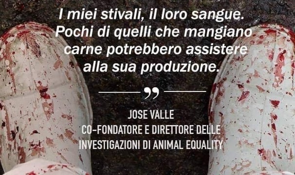 lobby alimentari veganoo 