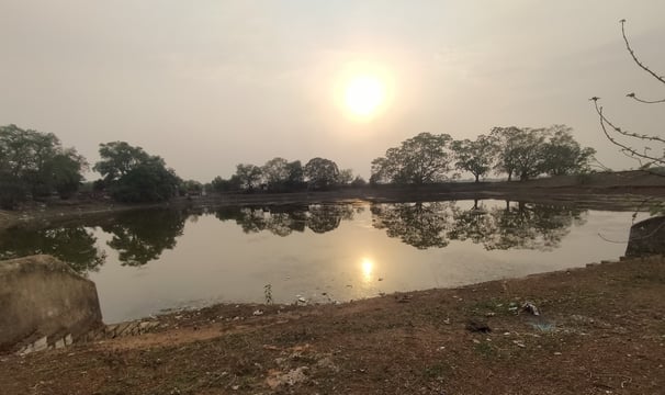 Pond