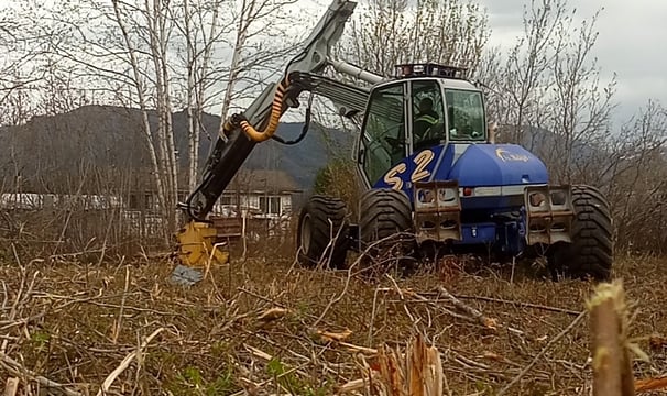 Mulching (mastication) of brush for firesmart treatment in wildland urban interface, Okanagan. 