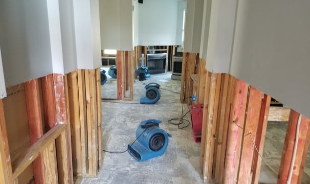 Residential Drying and Water Remediation