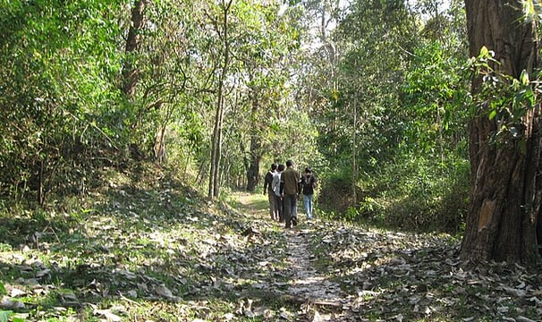 Trekking in Periyar Wildlife Sanctuary – forest trail in Kerala South India travel
