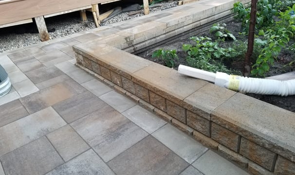 a garden with a hose and a hose in the foreground