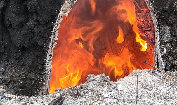 Fire burning in a tree stump