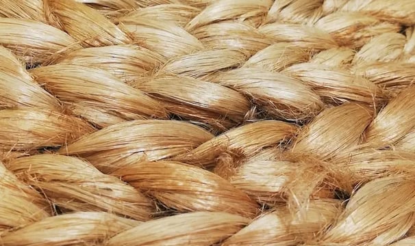 SthayiVastra Organic textile industry Next Startup by RisingIndia